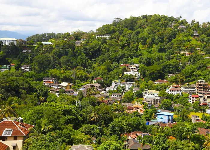 The Dorwin Heights