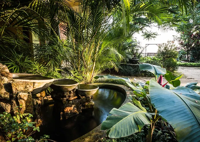 Yasmin Hill Longevity Oasis